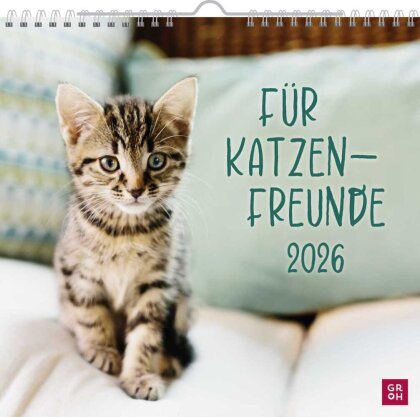 Wandkalender 2026 - Für Katzenfreunde