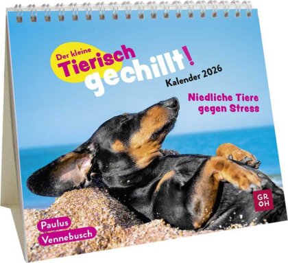 Mini-Kalender 2026 - Der kleine Tierisch gechillt! Kalender