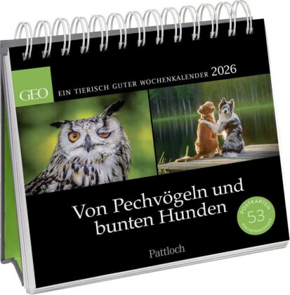 Postkartenkalender 2026 - Von Pechvögeln und bunten Hunden