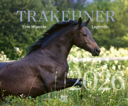 Trakehner 2026