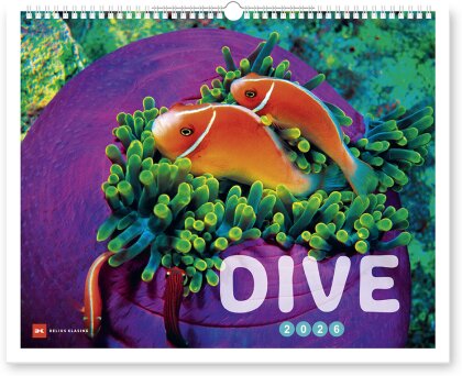 Dive 2026