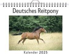Deutsches Reitpony