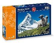 Schwarznasenschafe am Matterhorn