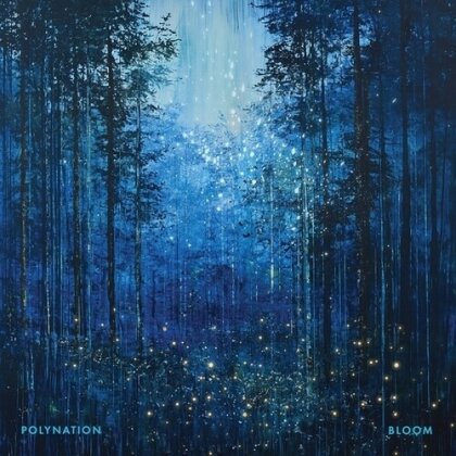 Polynation - Bloom (12" Maxi)