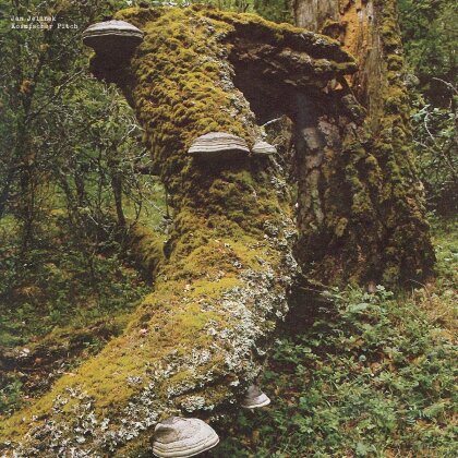 Jan Jelinek - Kosmischer Pitch (2025 Reissue, LP)