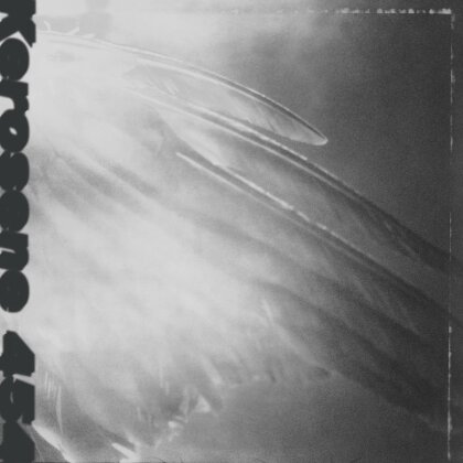 Kerosene 454 - Came By To Kill Me (2025 Reissue, LP)