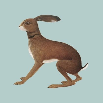 Vashti Bunyan - Lookaftering (2025 Reissue, Expanded, 2 CDs)