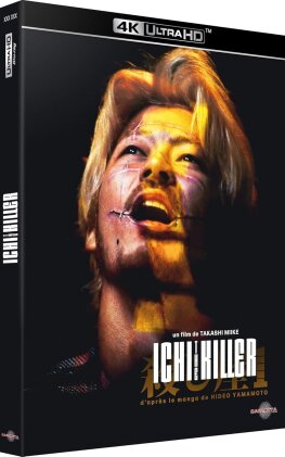 Ichi the killer (2001)
