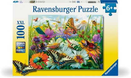 Wunderwelt der Insekten