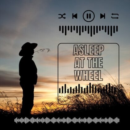 Asleep At The Wheel - Asleep At The Wheel - Live (Manufactured On Demand)