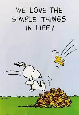 Peanuts We Love The Simple Things In Life! Poster