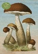 John Derian Paper Goods - Mushrooms 1,000-Piece Puzzle