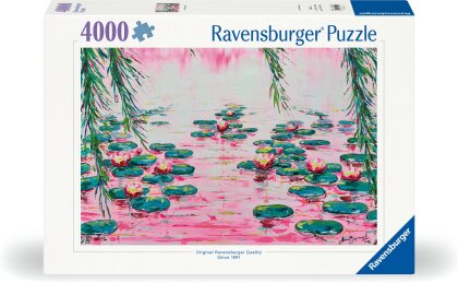 Pink Water Lilies