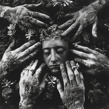 Black Widows (CH) - Euphorbia (LP)