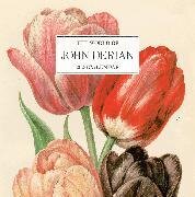 World of John Derian Wall Calendar 2026