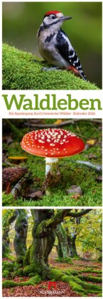 Waldleben Triplet-Kalender 2026 | Spaziergang durch heimische Wälder
