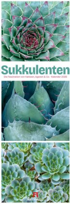 Sukkulenten Triplet-Kalender 2026 | Kakteen - Agaven & Co