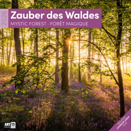 Zauber des Waldes Broschürenkalender 2026 - 30x30 - Art12