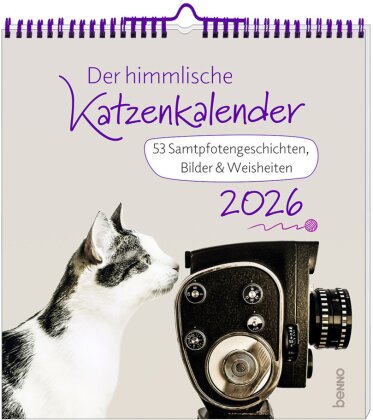 Der himmlische Katzenkalender 2026