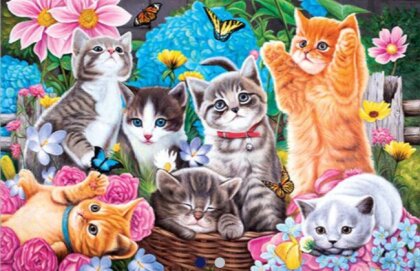 Diamond Painting Cats/Katzen 35x25 cm