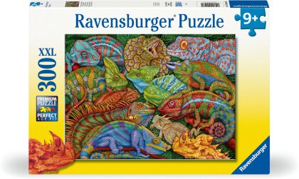 Faszinierende Reptilien