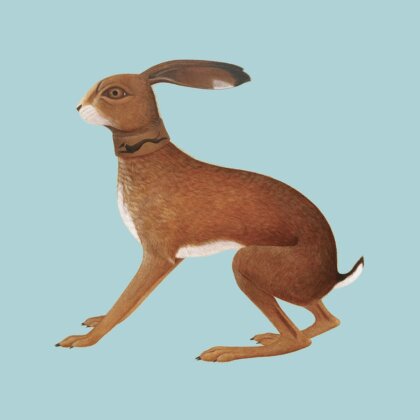 Vashti Bunyan - Lookaftering (2025 Reissue, Expanded, 2 LPs)