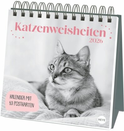 Katzen Weisheiten Premium-Postkartenkalender 2026