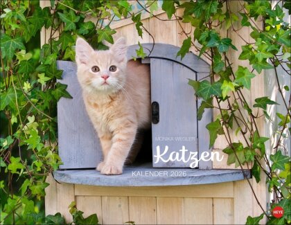 Monika Wegler - Katzenkalender 2026