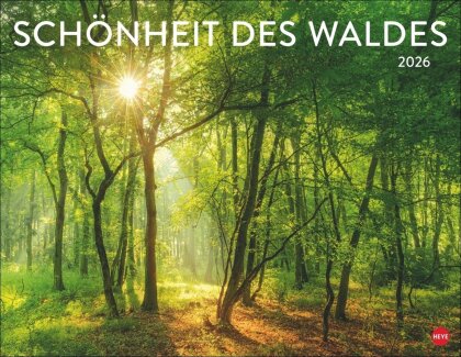Schönheit des Waldes Posterkalender 2026