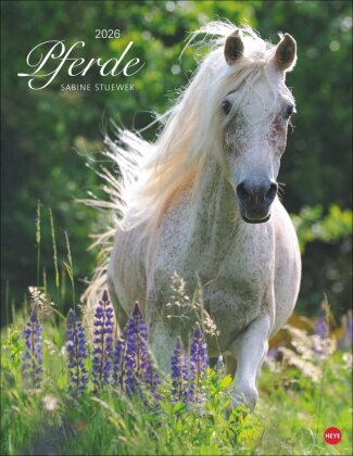 Pferde Classics Posterkalender 2026