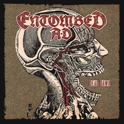 Entombed A.D. - Dead Dawn (2025 Reissue, Sunburst Yellow/Red Vinyl, LP)
