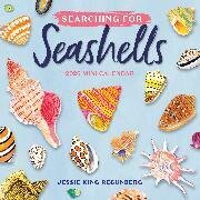 Searching for Seashells Mini Wall Calendar 2026