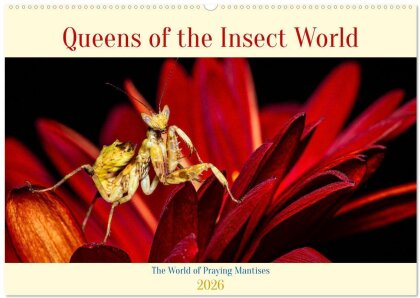 Queens of the Insect World (Wall Calendar 2026 DIN A2 landscape) - CALVENDO 12 Month Wall Calendar