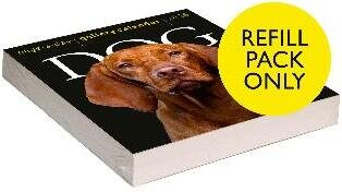 Dog Page-A-Day® Gallery Calendar Refill Pack 2026