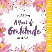 Year of Gratitude Page-A-Day® Calendar 2026