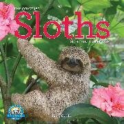 Original Sloths Mini Wall Calendar 2026