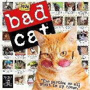 Bad Cat Wall Calendar 2026