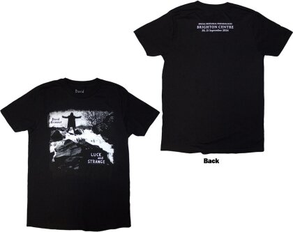 David Gilmour Unisex T-Shirt - Luck & Strange Album Brighton (Black) (Back Print & Ex-Tour) (Small) - Taglia S