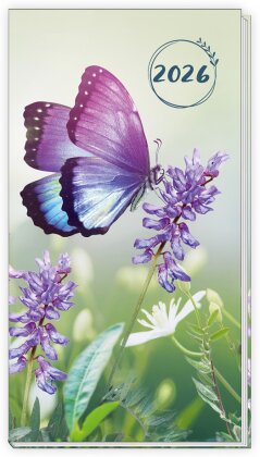 Trötsch Taschenterminer Schmetterling 2026