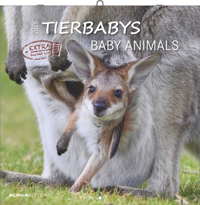 Tierbabys 2026 - Broschürenkalender 30x30 cm (30x60 geöffnet) - Kalender mit Platz für Notizen - Baby Animals - Bildkalender - Wandplaner - Alpha Edition