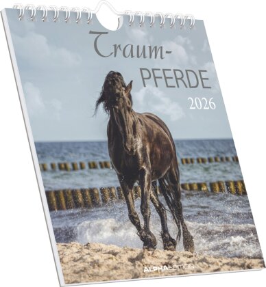 Traumpferde 2026 - Postkartenkalender 16x17 cm - Horses - zum Aufstellen oder Aufhängen - Monatskalendarium - Gadget - Mitbringsel - Alpha Edition