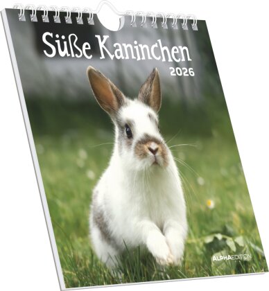 Süße Kaninchen 2026 - Postkartenkalender 16x17 cm