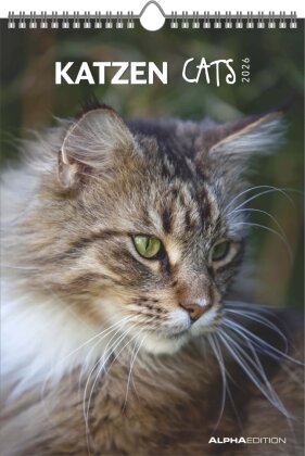 Katzen 2026 - Bildkalender 23,7x34 cm - Kalender mit Platz für Notizen - mit vielen Zusatzinformationen - Cats - Wandkalender - Alpha Edition