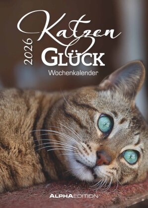 Katzenglück - Tischaufstellkalender mit 53 Motiven und Sprüchen im Format 10,5 x 14,8
