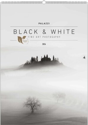 Black & White 2026 - Bildkalender 50x70 cm - Wandkalender XL - schwarz-weiß - Kunst - Hochformat - Palazzi