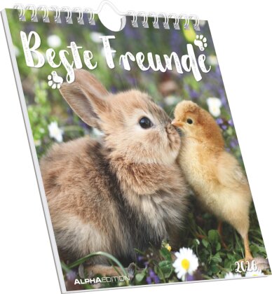 Beste Freunde 2026 - Postkartenkalender 16x17 cm