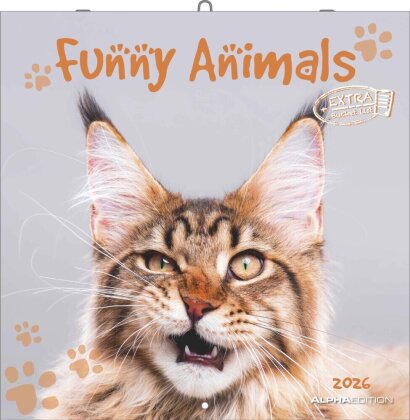 Funny Animals 2026 - Wand-Kalender - Broschüren-Kalender - 30x30 - 30x60 geöffnet