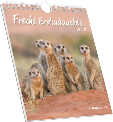 Freche Erdmännchen 2026 - Postkartenkalender 16x17 cm