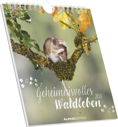 Geheimnisvolles Waldleben