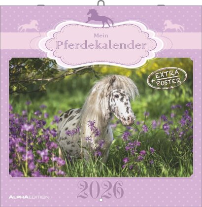 Mein Pferdekalender 2026 - Broschürenkalender 30x30 cm (30x60 geöffnet) - Kalender mit Platz für Notizen - Bildkalender - Wandplaner - Wandkalender